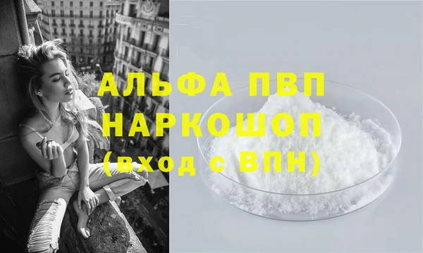 стаф Балахна