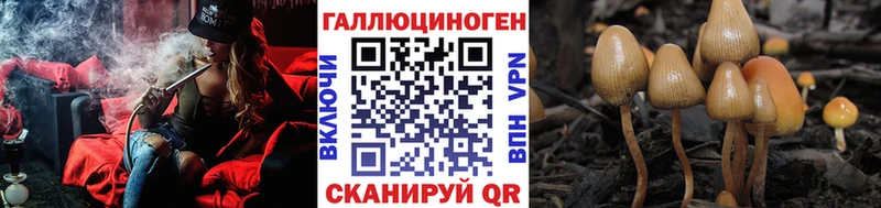 ссылка на мегу рабочий сайт  купить наркоту  Черноголовка  Галлюциногенные грибы Psilocybe 